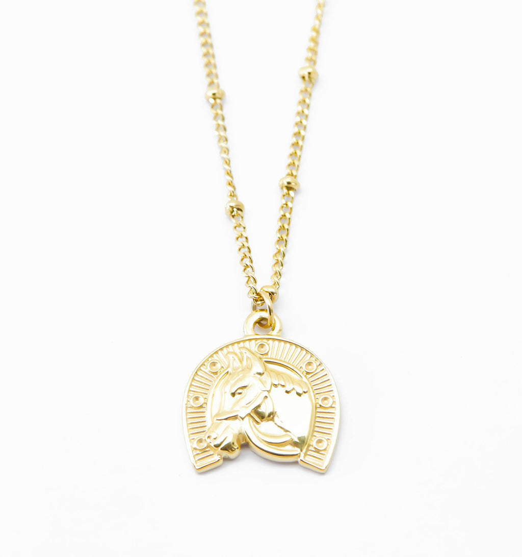 Horseshoe Necklace