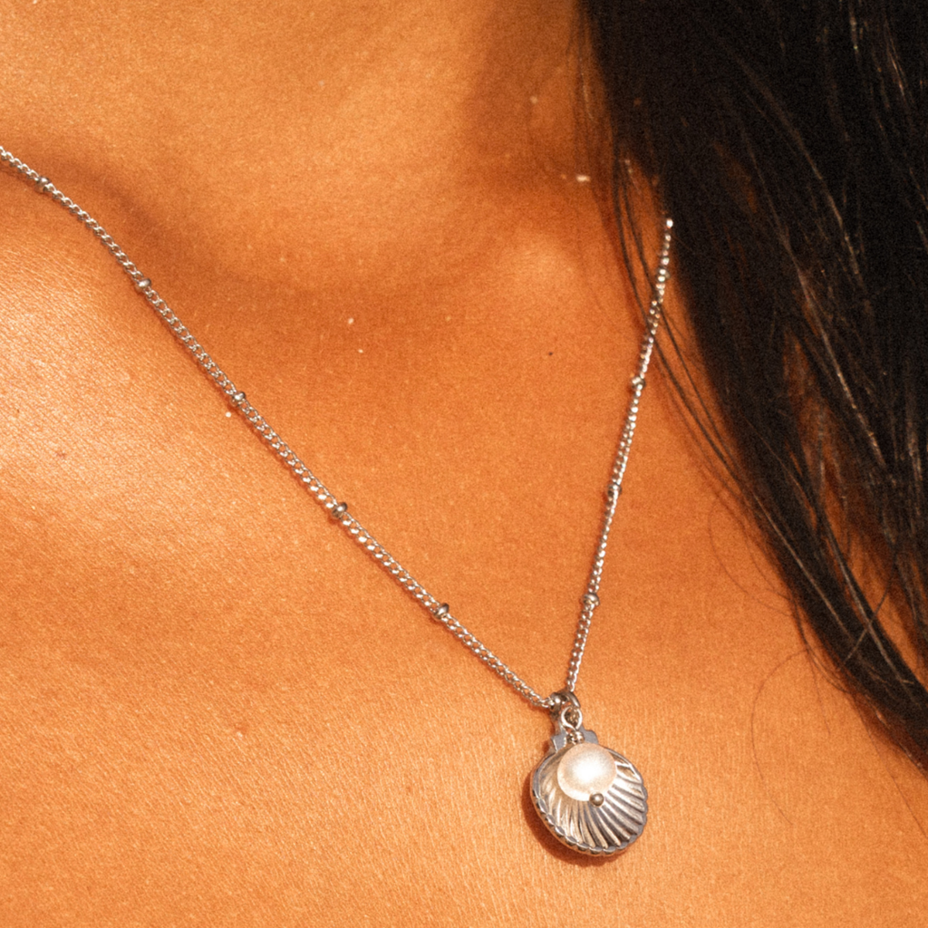 Seashell Necklace